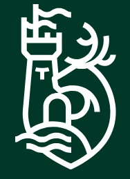 University of Limerick logo